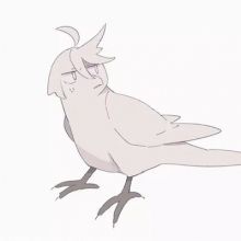 gyphila1