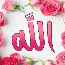 halaham24215604
