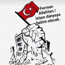 halime39348723