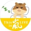 happy.hamuhamu5