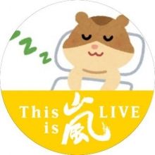 happy.hamuhamu5