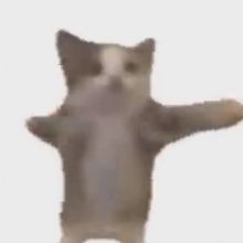 happycatbtc