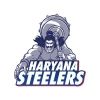 haryanasteelers