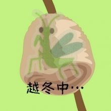 hash.piko
