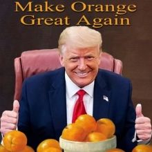 hasibiro.maga