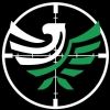 hawks.picks
