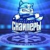 hc.sibir.skynet