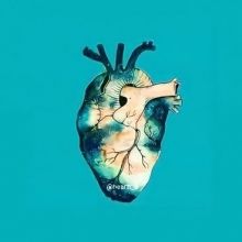 heartt.6