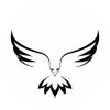 helmitric