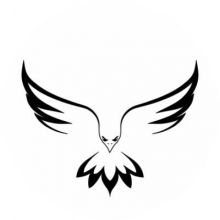 helmitric