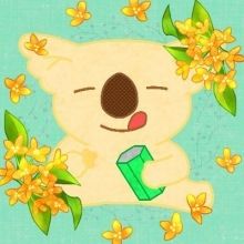 hetarekoala3