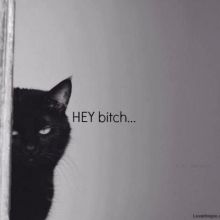 heybitch73