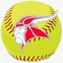 hf.vikings.sb