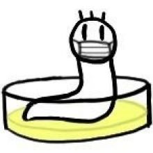 hi.neu