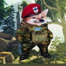 hkmk23todd