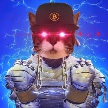 hodlcat21