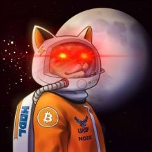 hodlonaut