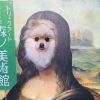 hodogayeah