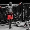 hokage.mma