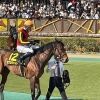 horse.investor