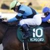 horseraceaddict