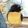 hoshikun456
