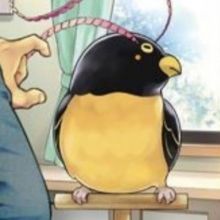 hoshikun456