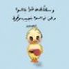 hossam45496934