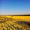 hubryansk