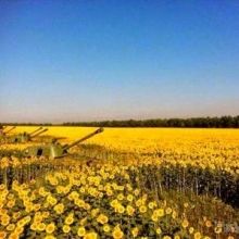 hubryansk
