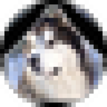 huskydog111