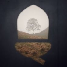 hwpath