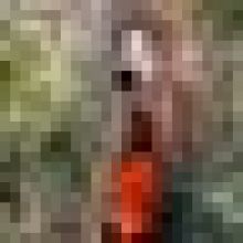 ibn.goku