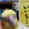 iichiko.hana