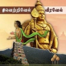 imtamilvoice