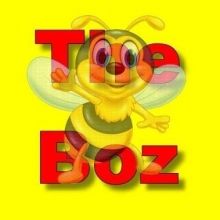 incrediblybozza