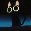 indestrctiblcat