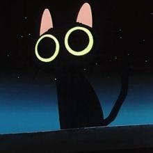 indestrctiblcat