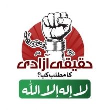 insafpk