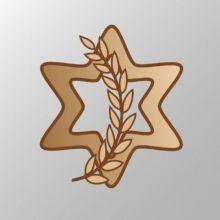 israeldefensef