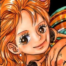 ivaxnami