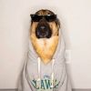 joedawg007