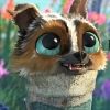 joeycoyfox