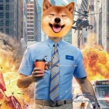 johnnydoge.76