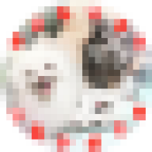 k07230609
