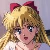 kaizou.bel