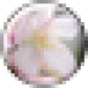 kakamatsukk