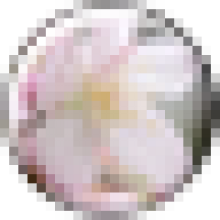 kakamatsukk