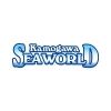 kamoseaofficial