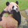 kasima04510